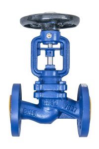 (image for) Bellow sealed Globe valve iron PN16