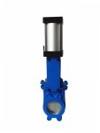 (image for) Sliding valve Dn50 P