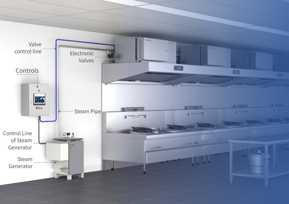 (image for) Steam cleaning system