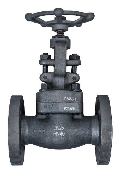 (image for) Globe valve stainless steel, PN40